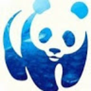 Meet your Posher, Caleb